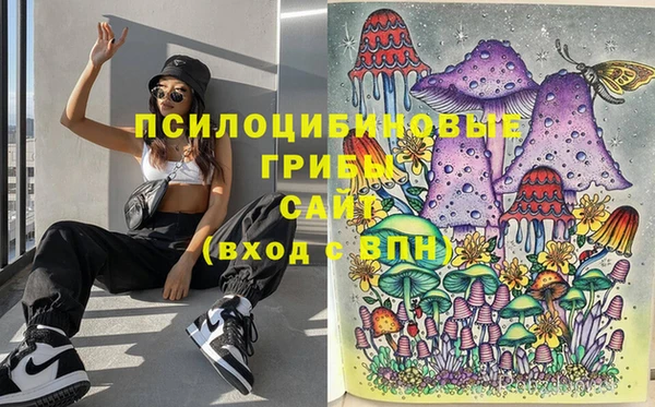 а пвп мука Михайлов