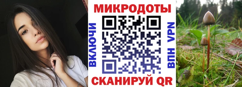цена наркотик  Орск  Псилоцибиновые грибы ЛСД 